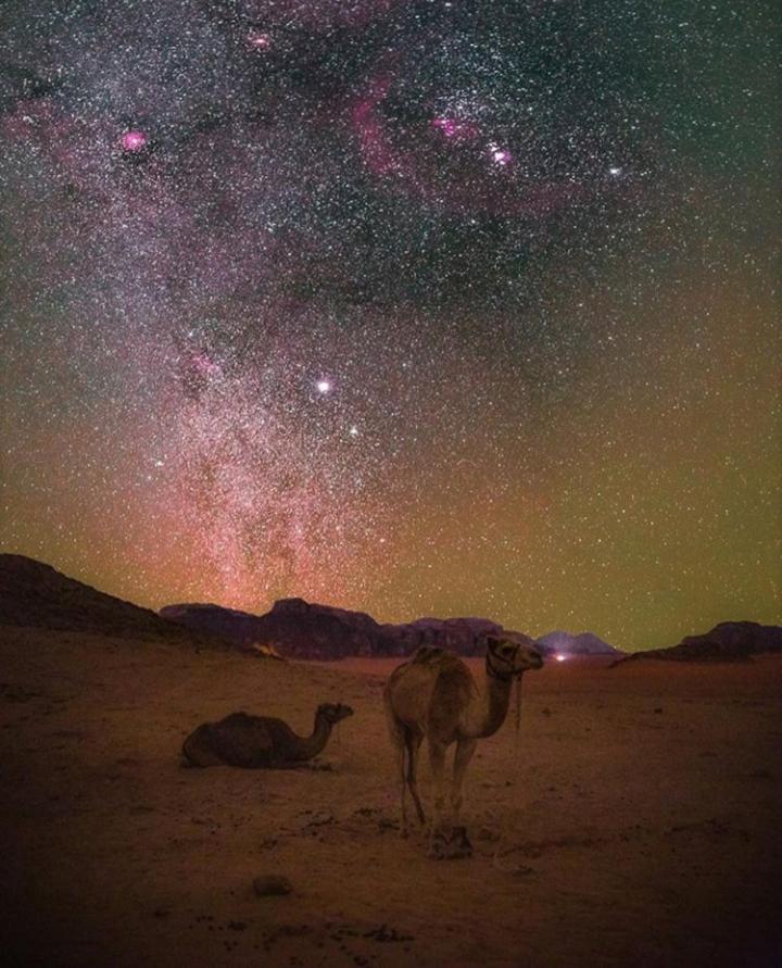 Bubble Tent & Luxury Camp Hotel Wadi Rum Luaran gambar